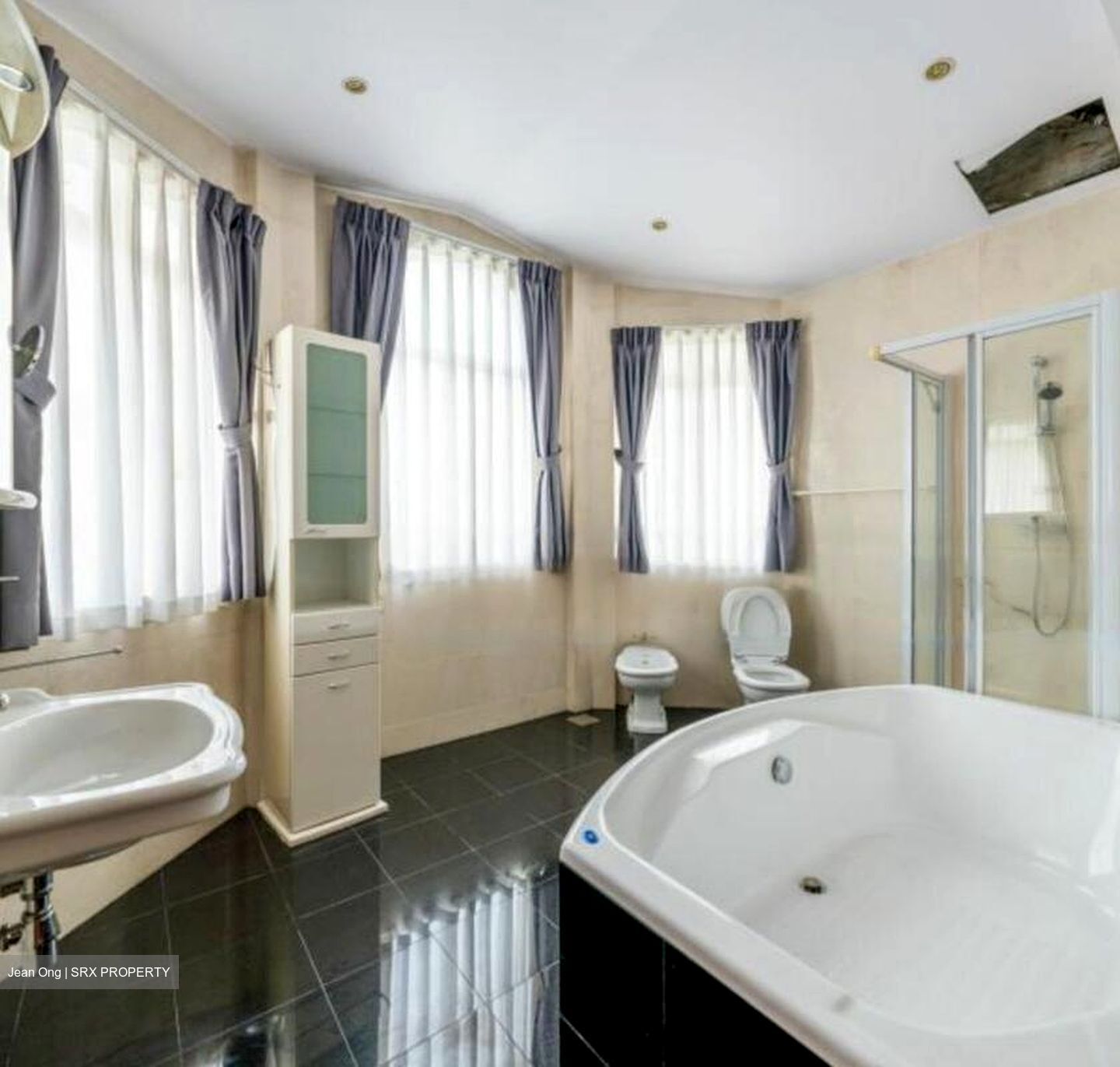 Swiss Club Park (D11), Detached #464373601